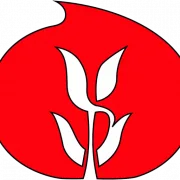 Logo van Hoeve Vertrouwen/W.A. Postema