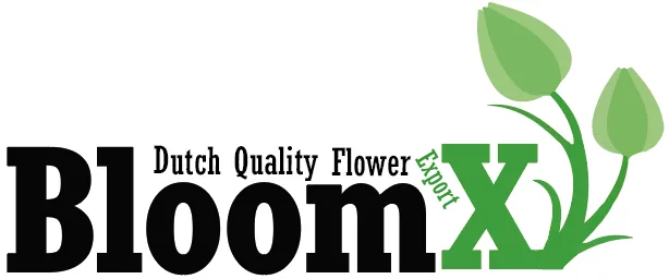 BloomX