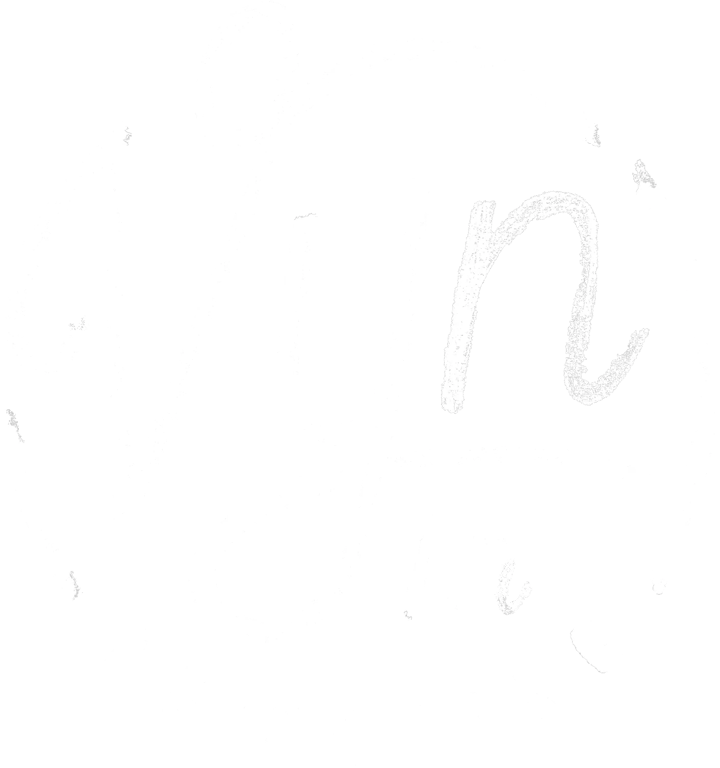 Vijn in beweging