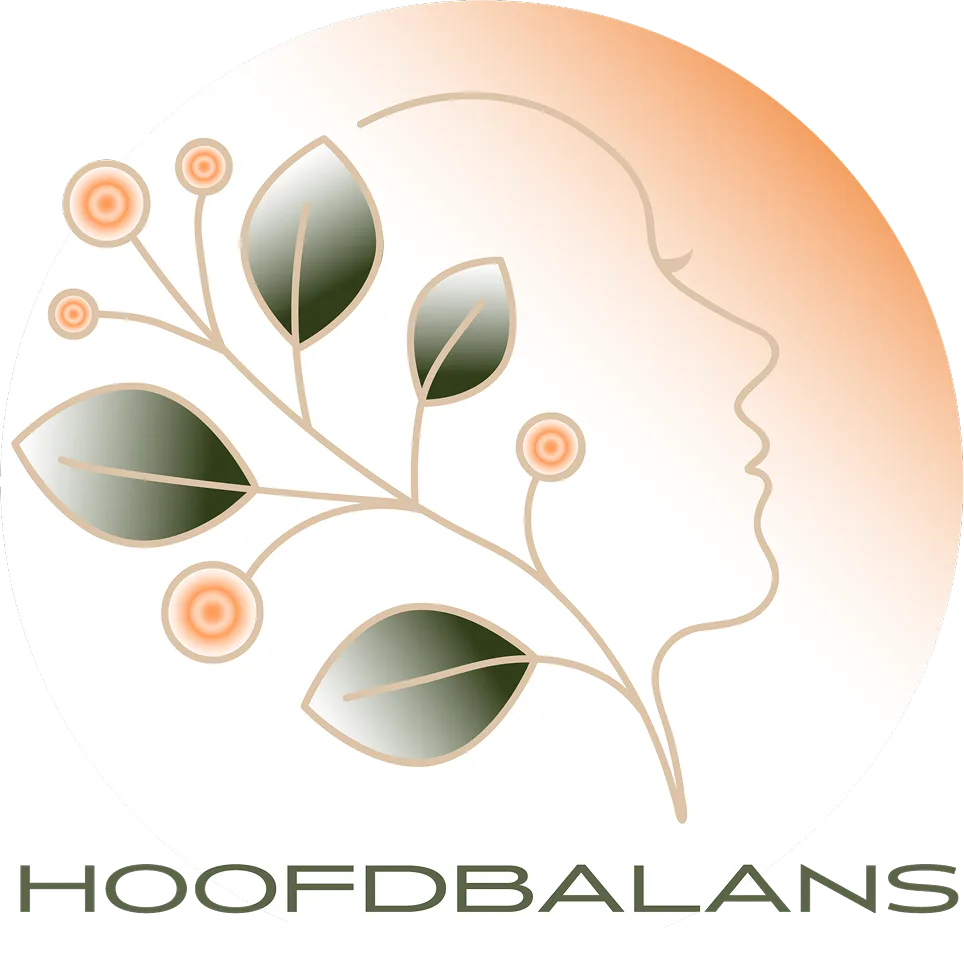 Hoofdbalans
