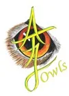 ATJ Owls